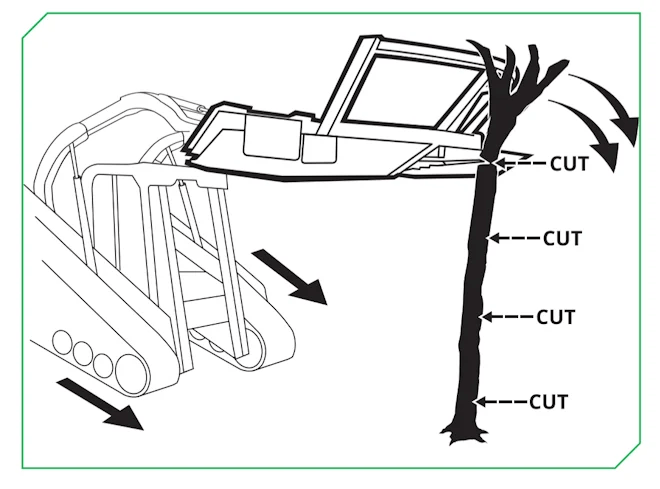 tree cut diagram 2 - Colbrook Industries
